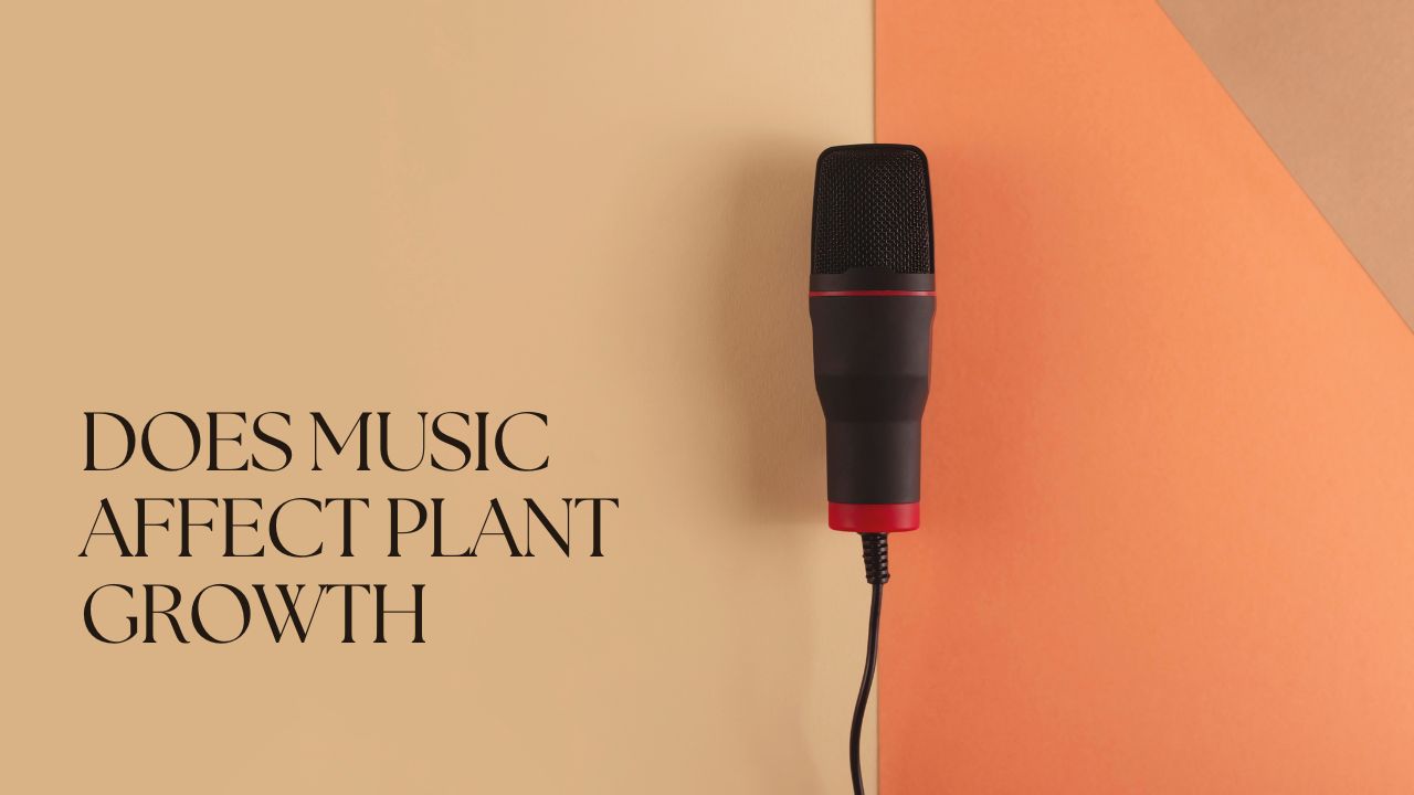 does music affect plant growth